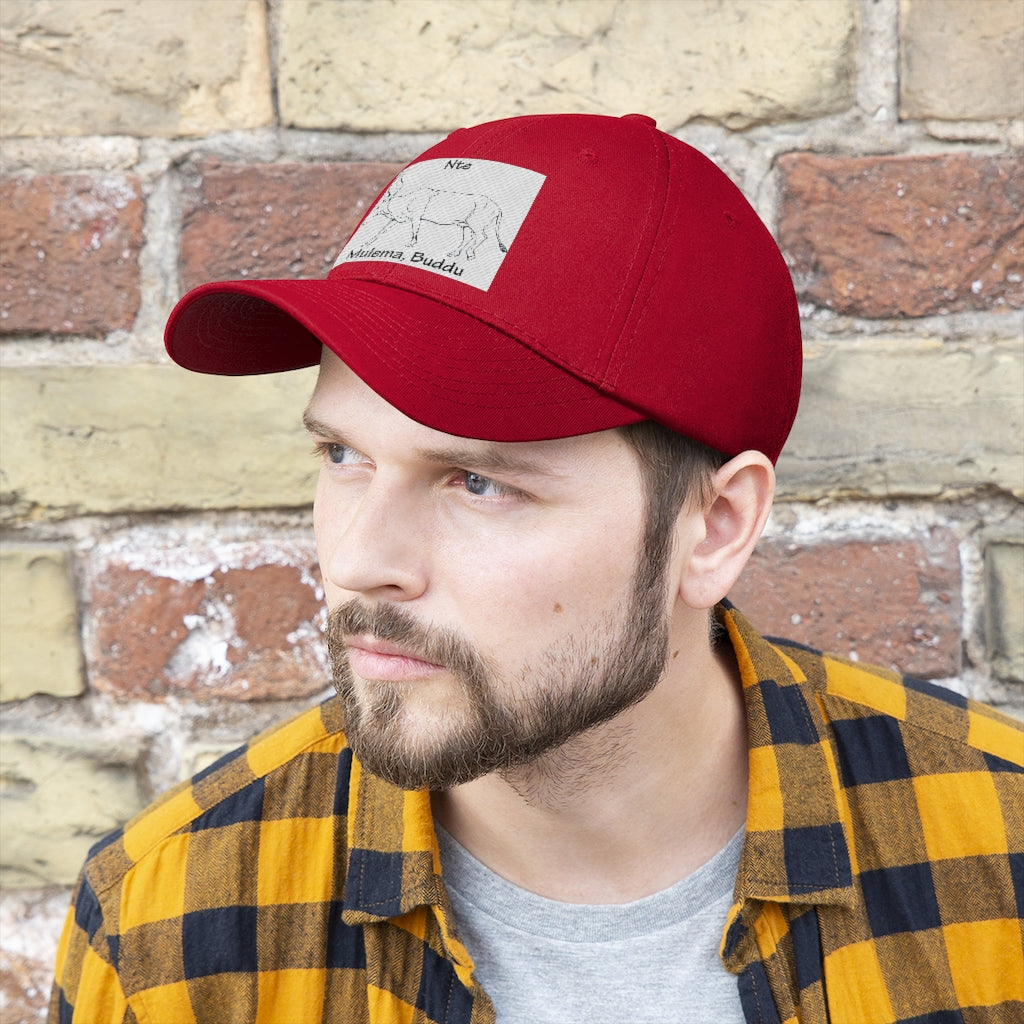 Nte, B1 - Unisex Twill Hat