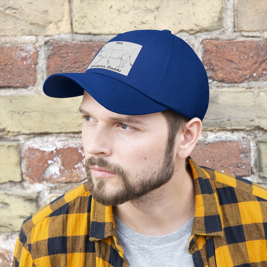 Nte, B1 - Unisex Twill Hat