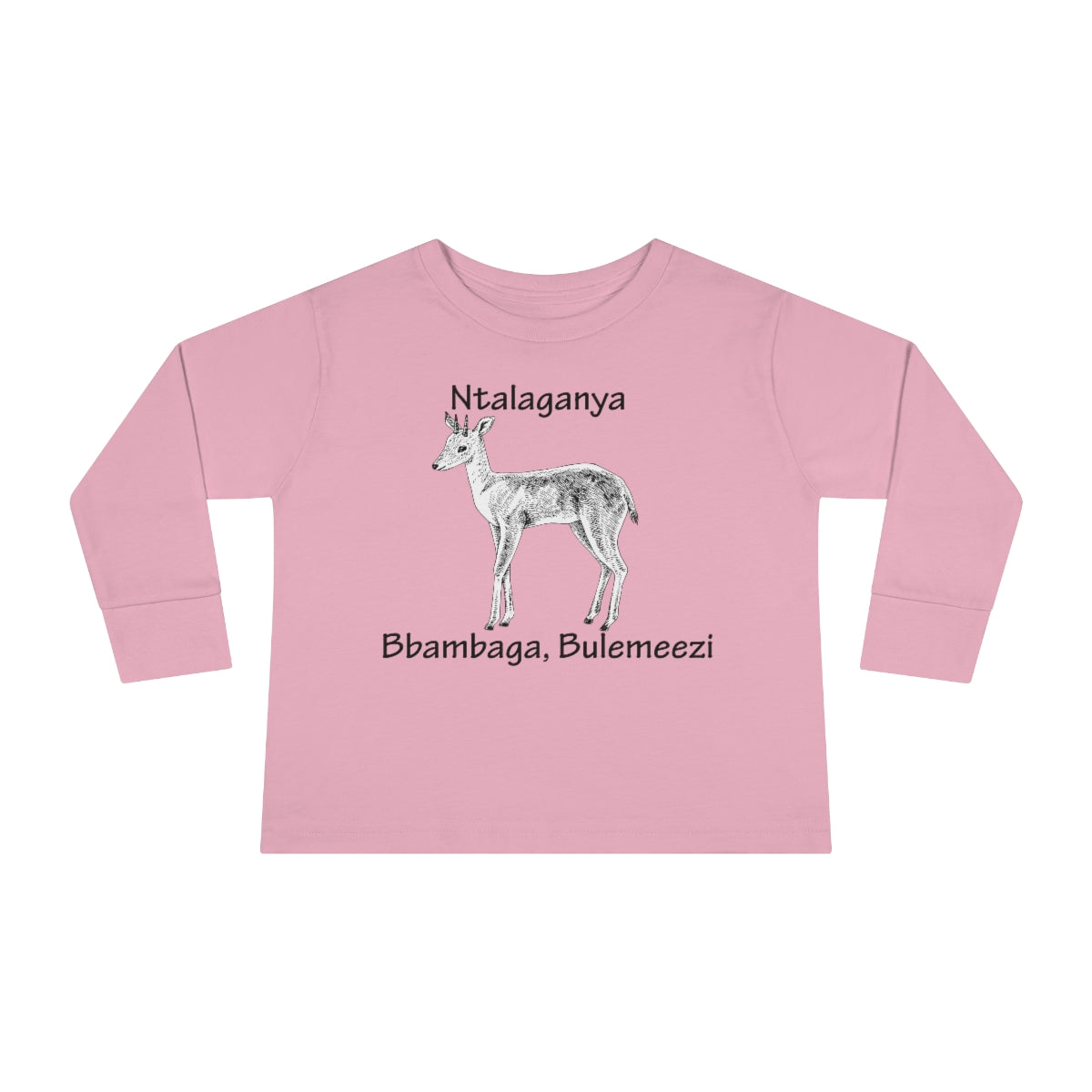 Toddler Long Sleeve Tee