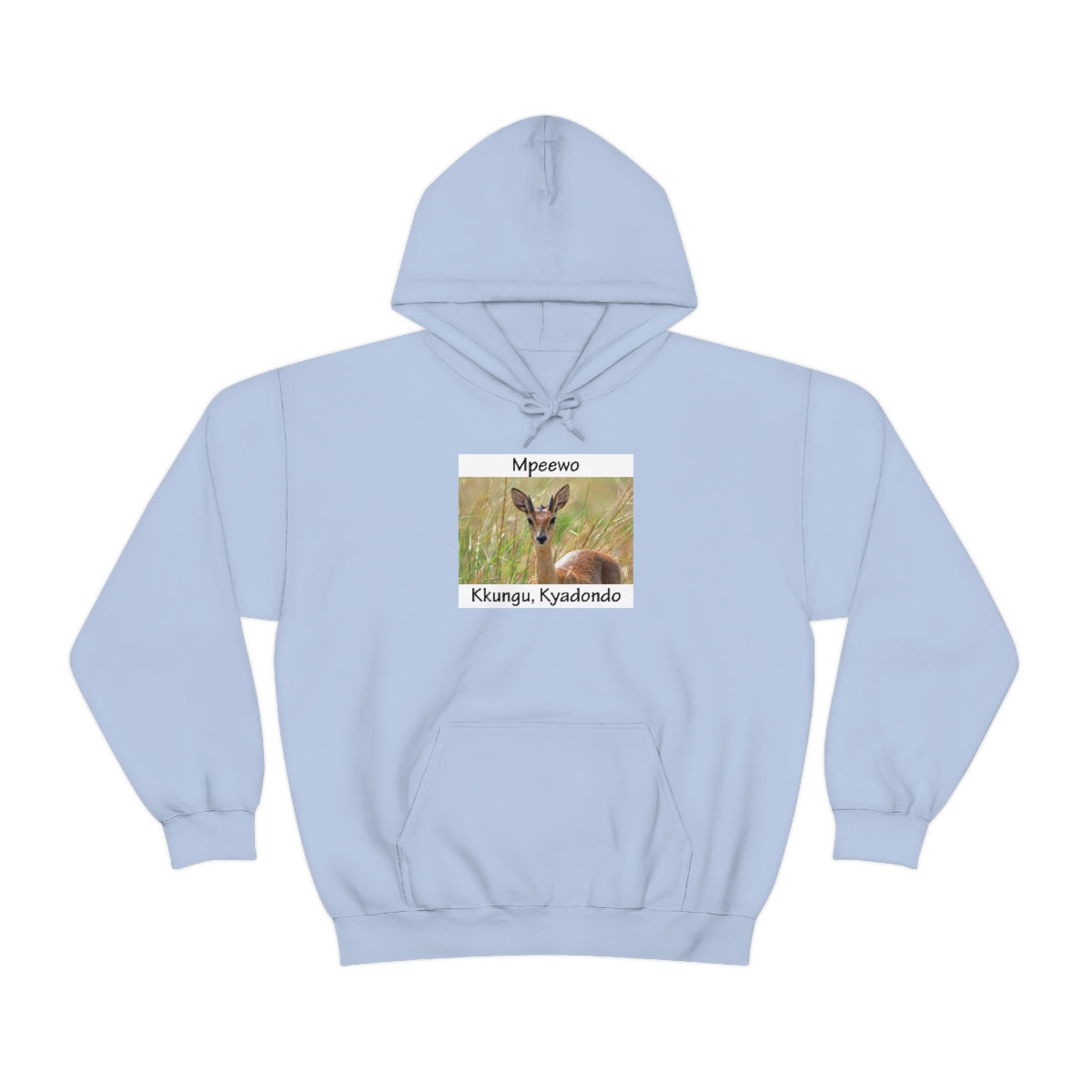 Unisex Heavy Blend™ Hooded Sweatshirt