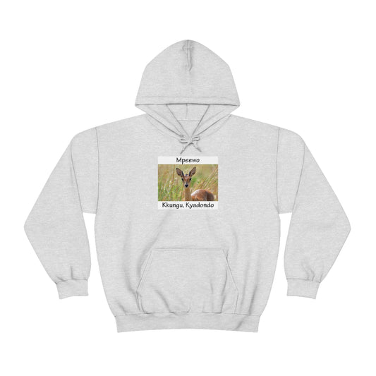 Unisex Heavy Blend™ Hooded Sweatshirt