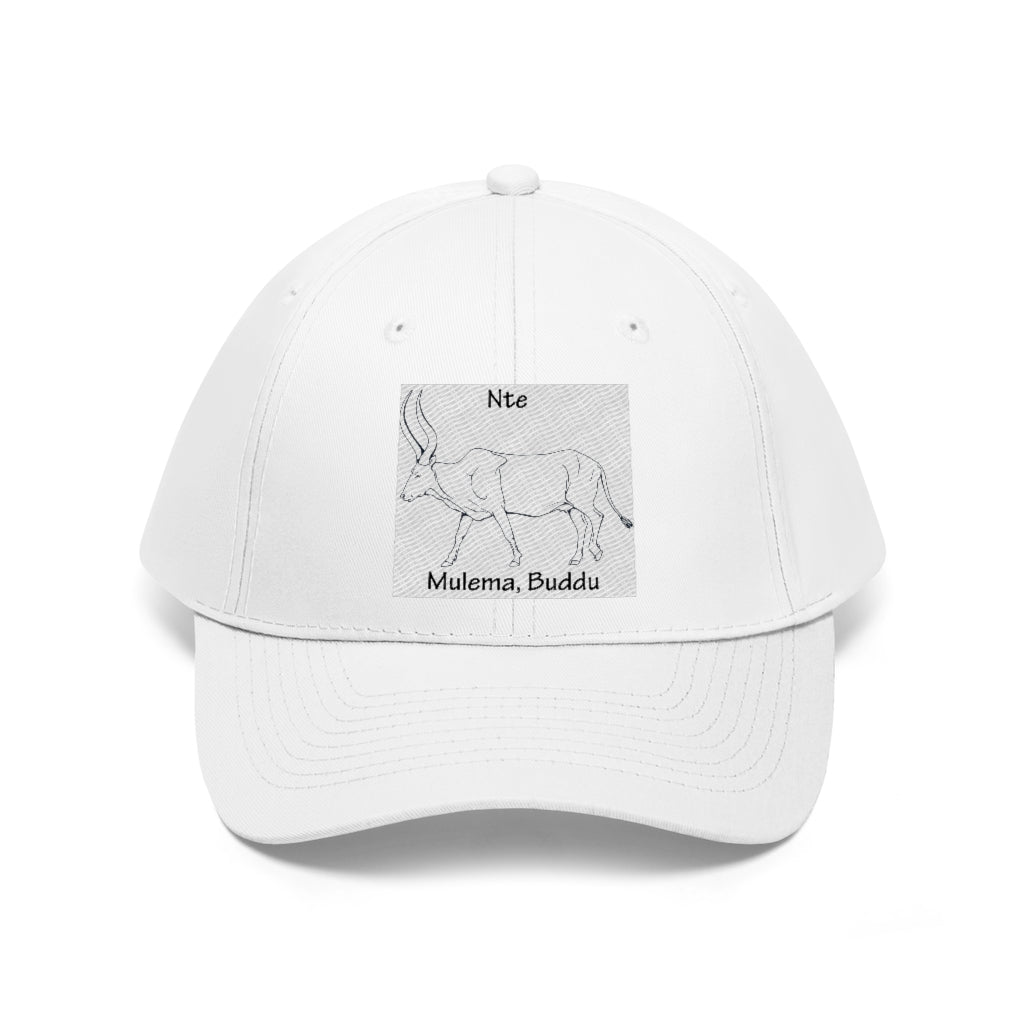 Nte, B1 - Unisex Twill Hat