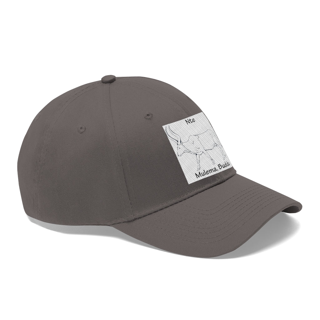 Nte, B1 - Unisex Twill Hat