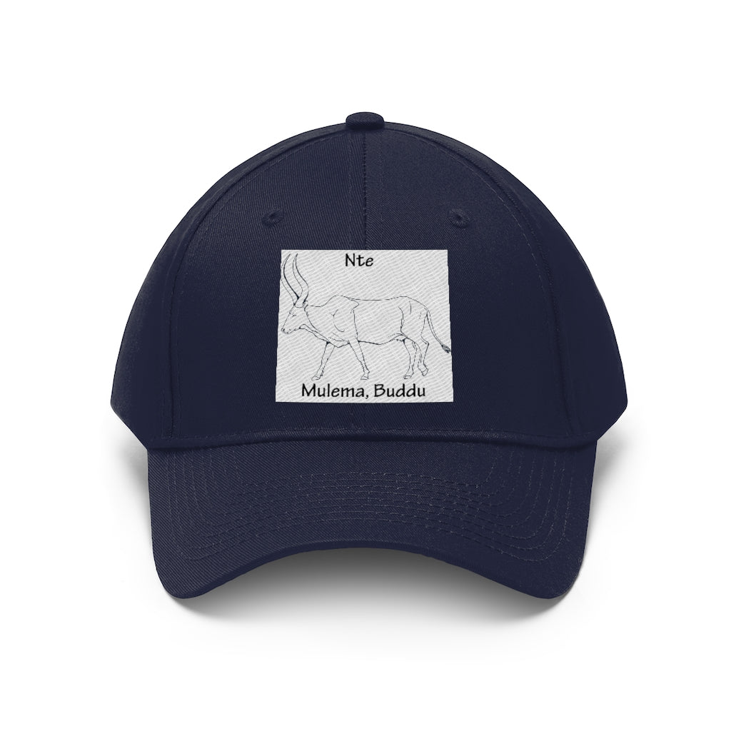 Nte, B1 - Unisex Twill Hat