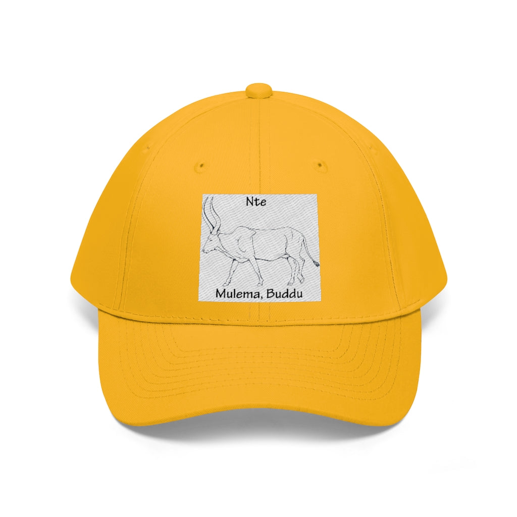 Nte, B1 - Unisex Twill Hat