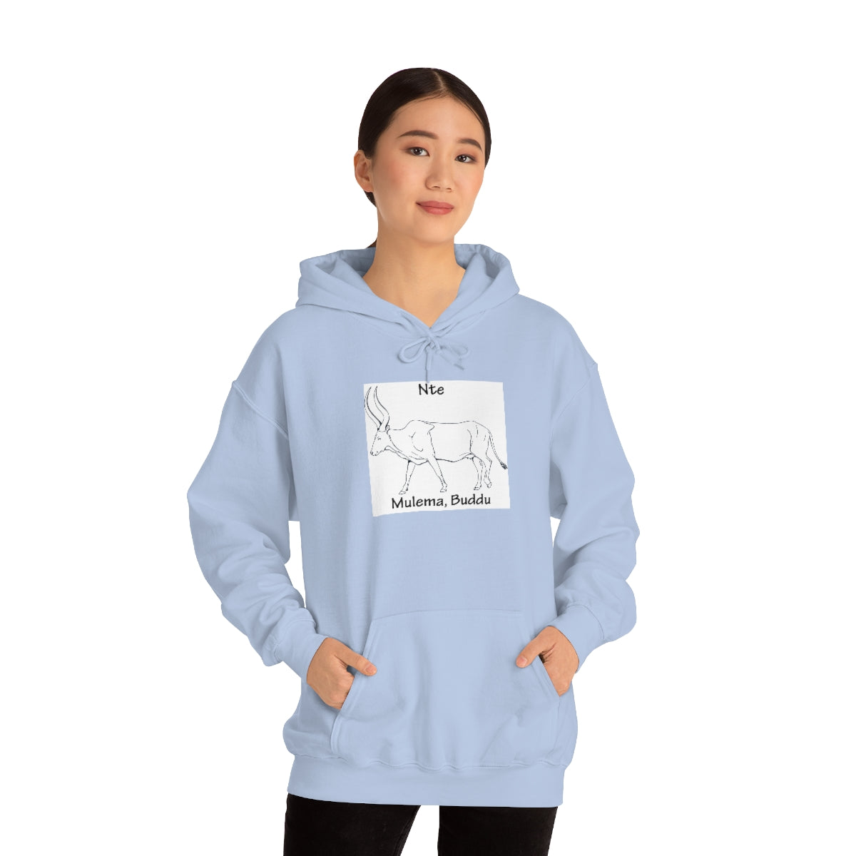 Nte, B1 - Unisex Heavy Blend™ Hooded Sweatshirt