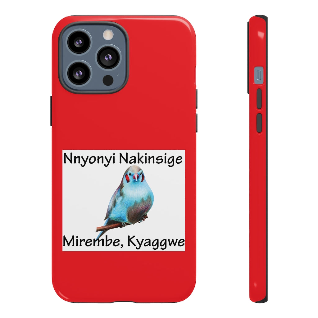 Nnyonyi Nakinsige, B15 - Tough Cases