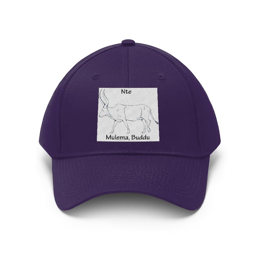 Nte, B1 - Unisex Twill Hat