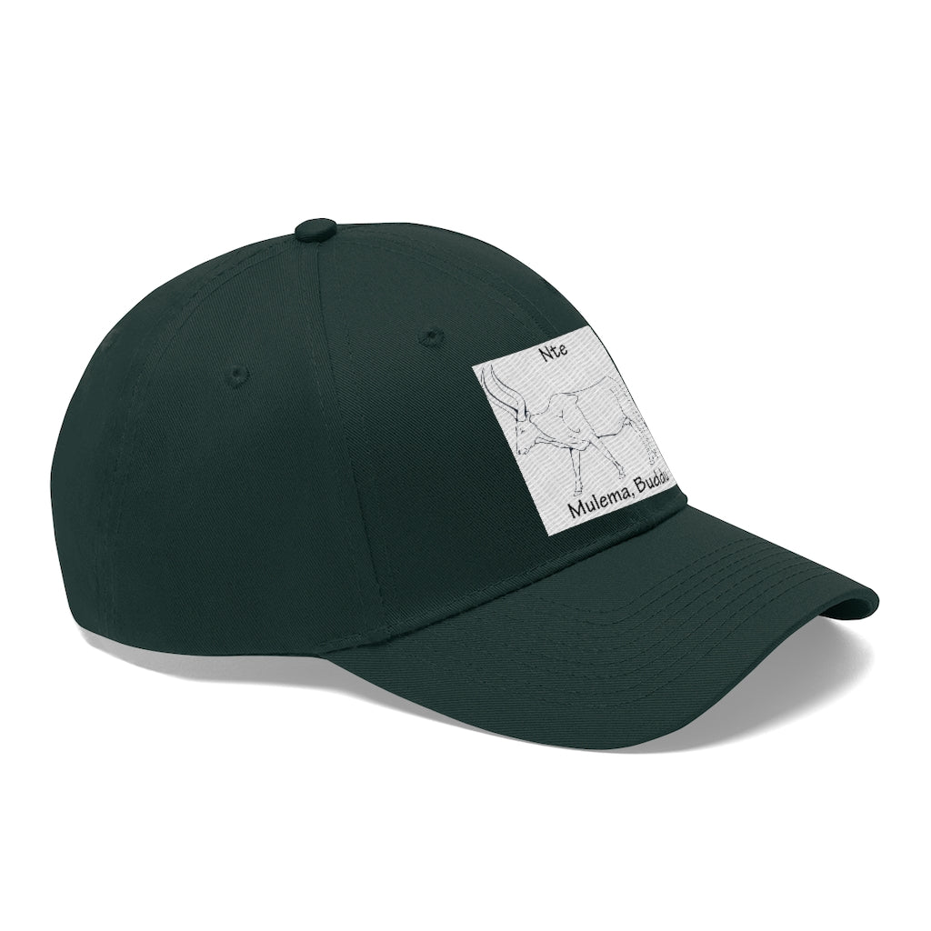 Nte, B1 - Unisex Twill Hat